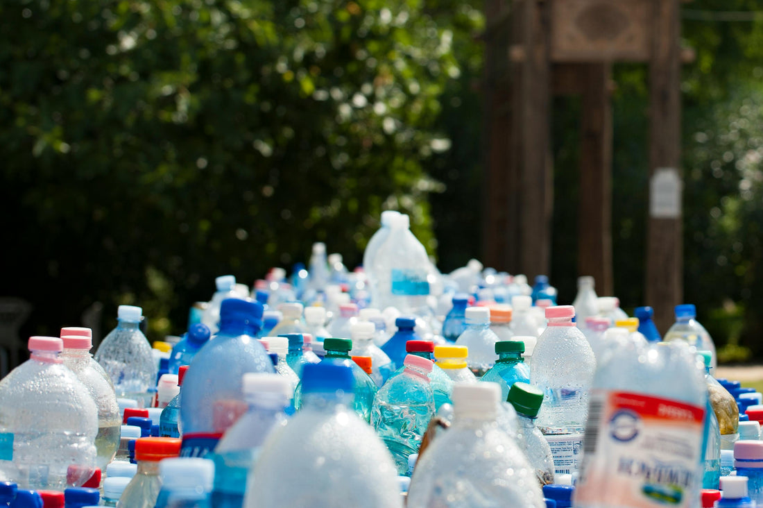 Recycle Week: How we’re doing our bit at MOE for the environment  - The Ministry of Outdoor Education