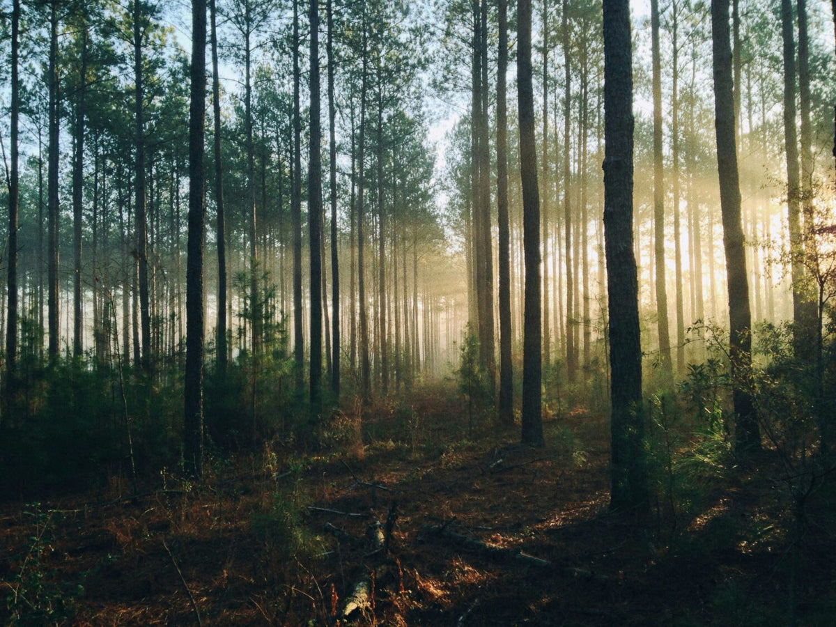 The ‘Great’ Part of The Great Outdoors!  - The Ministry of Outdoor Education