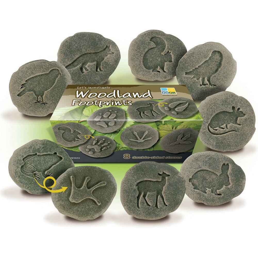 Lets Investigate Woodland Footprints Pk 8