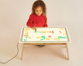 Colour Changing A2 Light Panel & Sensory Table - The Ministry of Outdoor Education