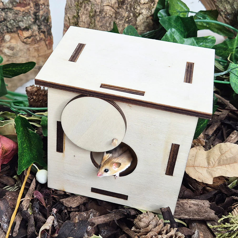 Forest School - Natural Woodland Kit  - The Ministry of Outdoor Education