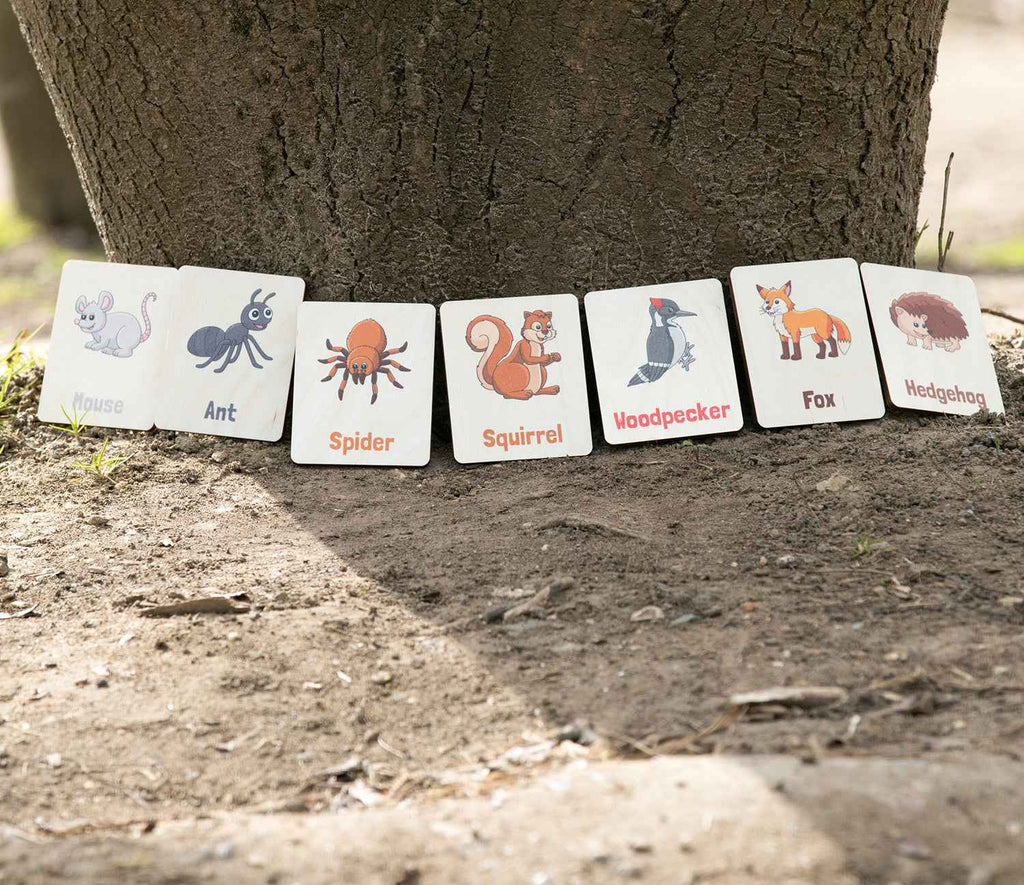 Flash Cards - Woodland Animals (14 images)