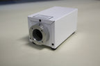 Mains Interactive Light Source with Remote Controller + 1M Clear Strands  - The Ministry of Outdoor Education