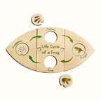 Life Cycle Puzzle - Frog  - The Ministry of Outdoor Education