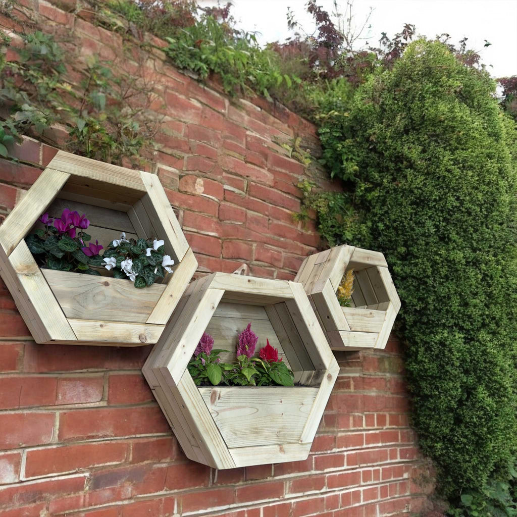 Hexagon Wall Mounted Planter