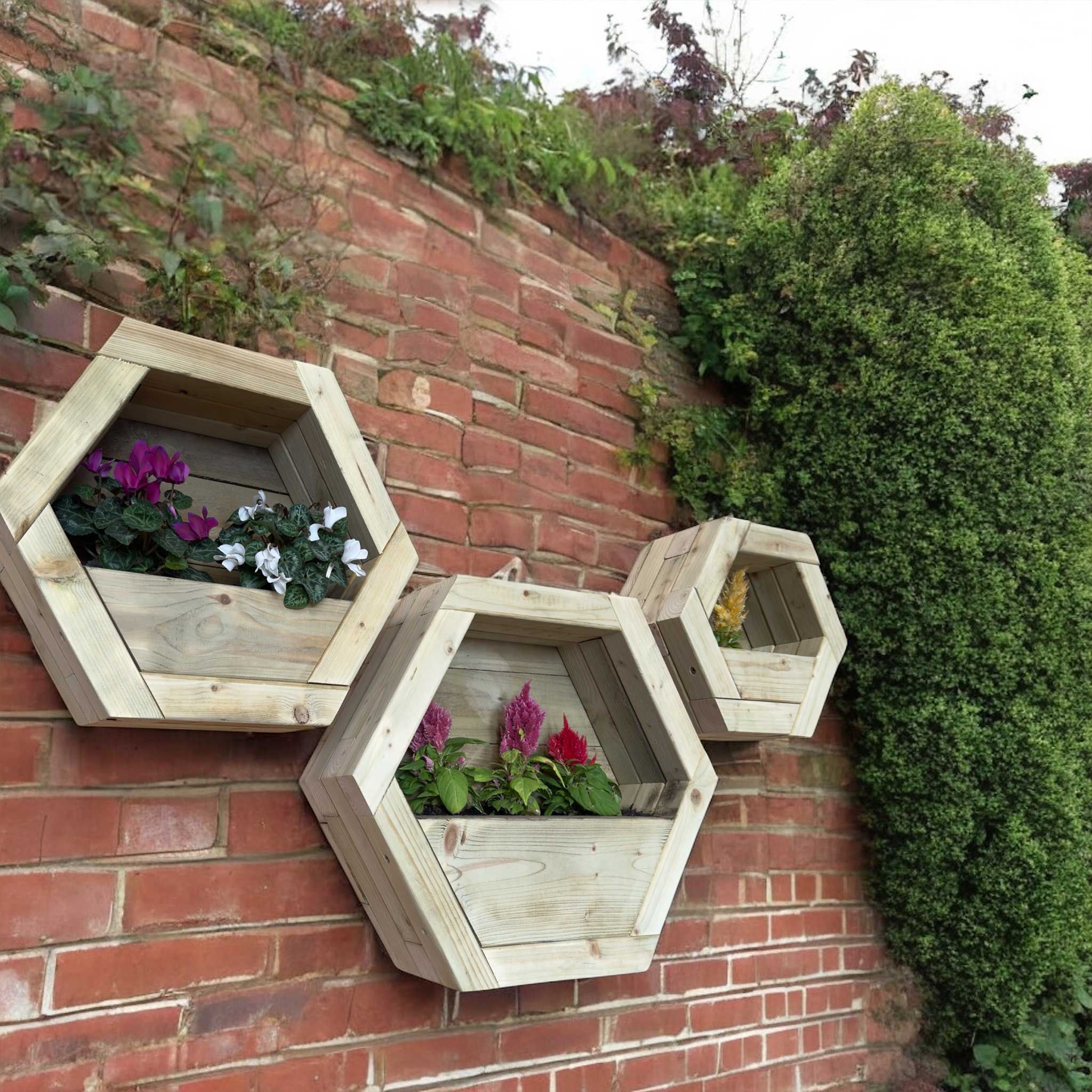 Hexagon Wall Mounted Planter