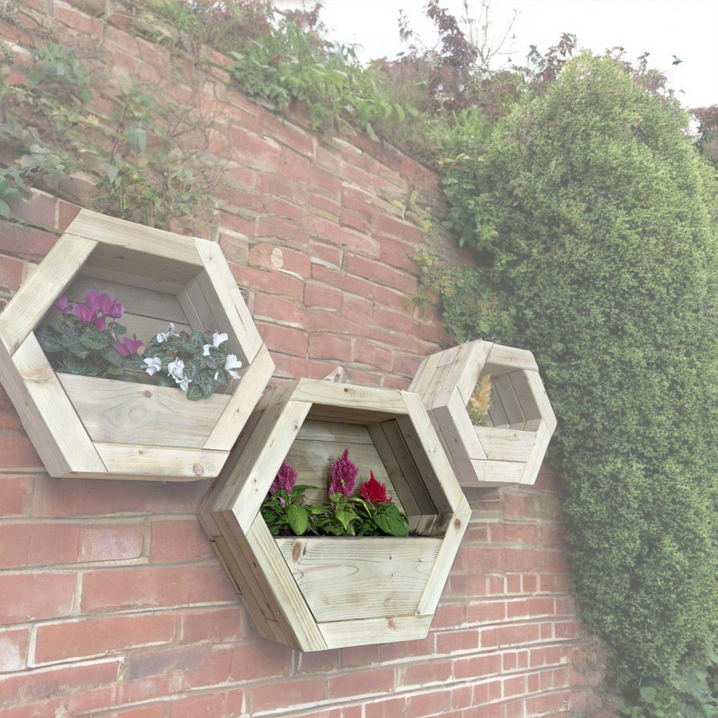 Hexagon Wall Mounted Planter