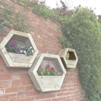 Hexagon Wall Mounted Planter