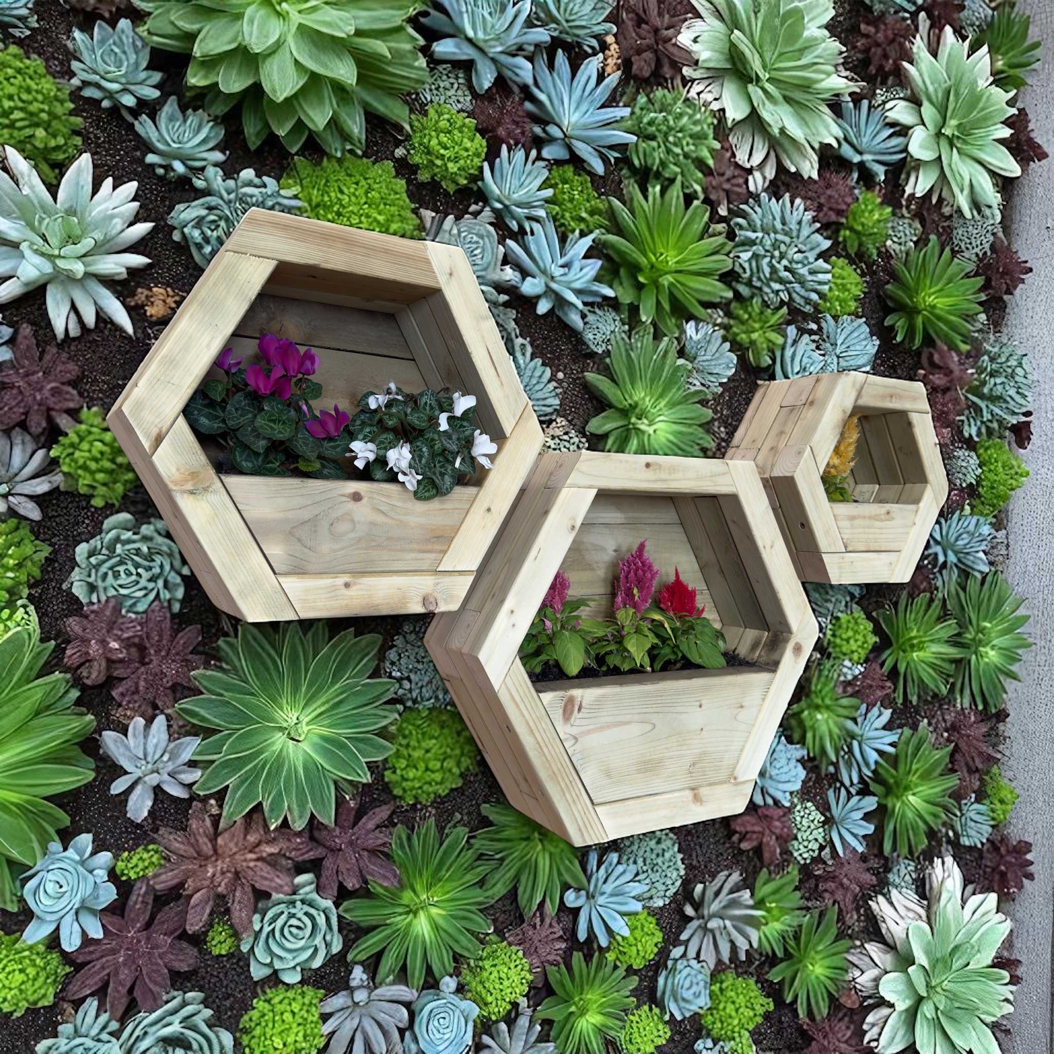 Hexagon Wall Mounted Planter