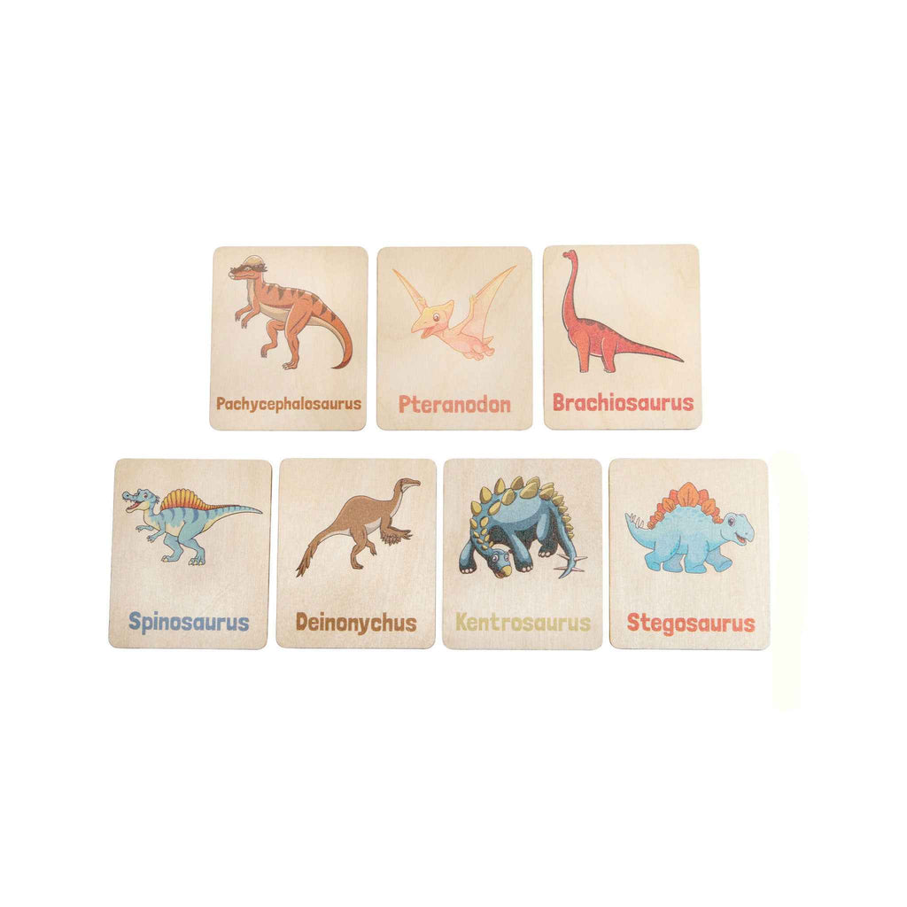 Flash Cards - Dinosaurs (14 images)