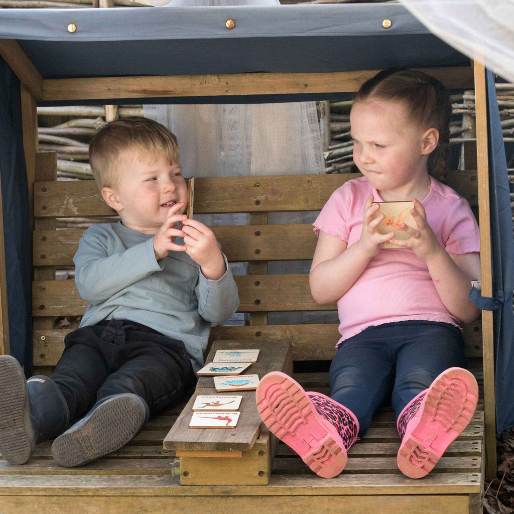 Flash Cards - Dinosaurs (14 images)