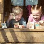 Flash Cards - Dinosaurs (14 images)