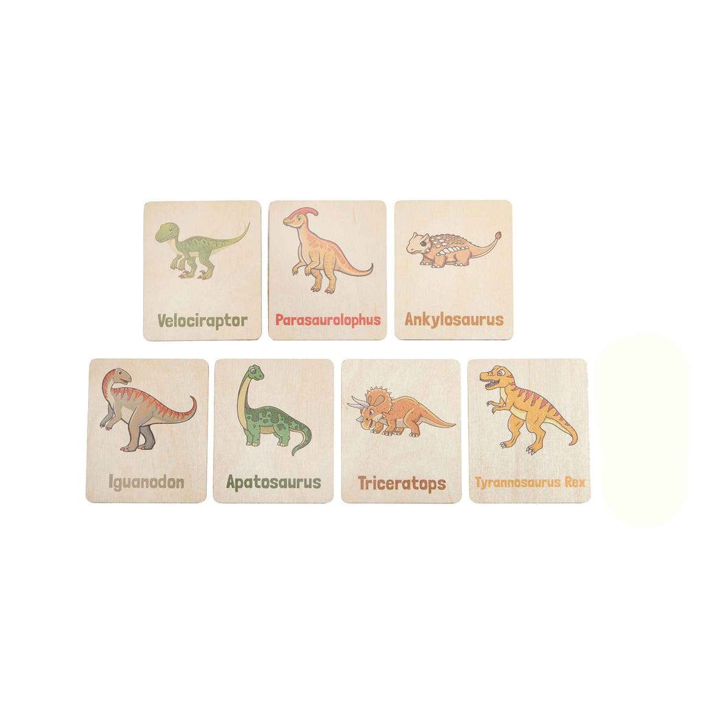 Flash Cards - Dinosaurs (14 images)
