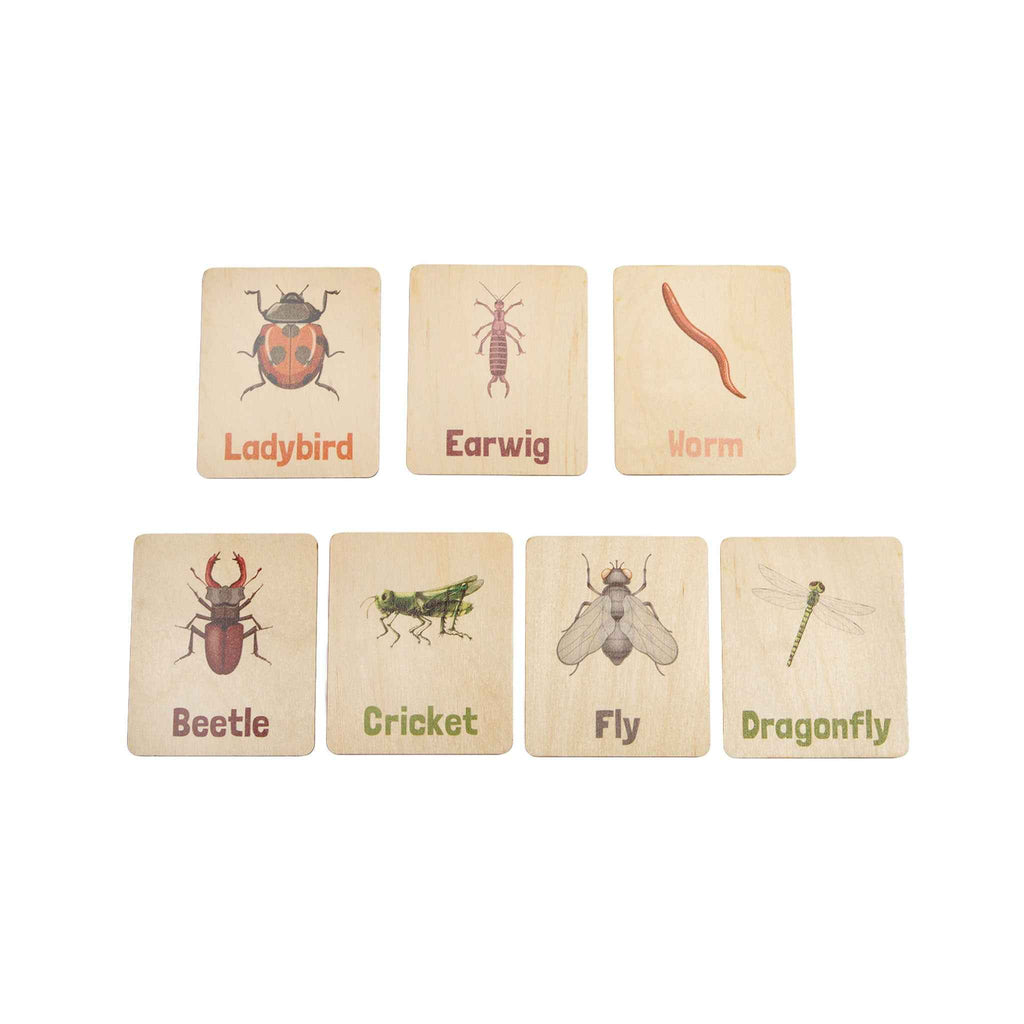 Flash Cards - Bugs & Insects (14 images)