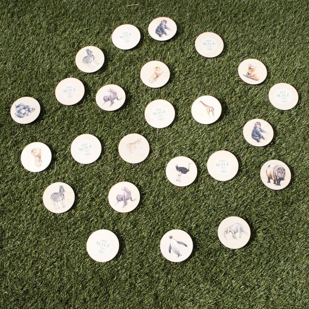 Pick Pairs Game - Zoo Animals  - The Ministry of Outdoor Education