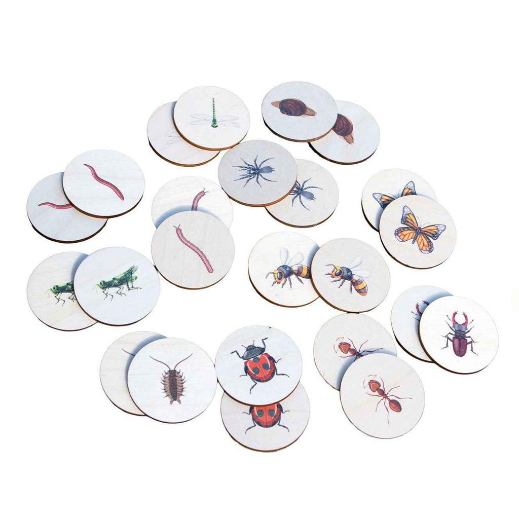 Pick Pairs Game - Bugs & Insects