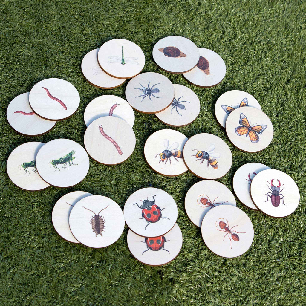 Pick Pairs Game - Bugs & Insects