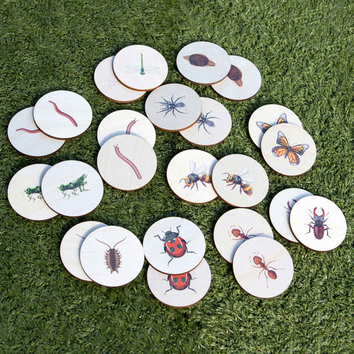 Pick Pairs Game - Bugs & Insects