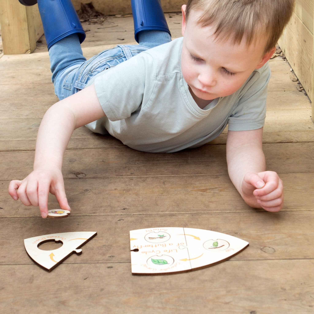 Life Cycle Puzzle - Butterfly