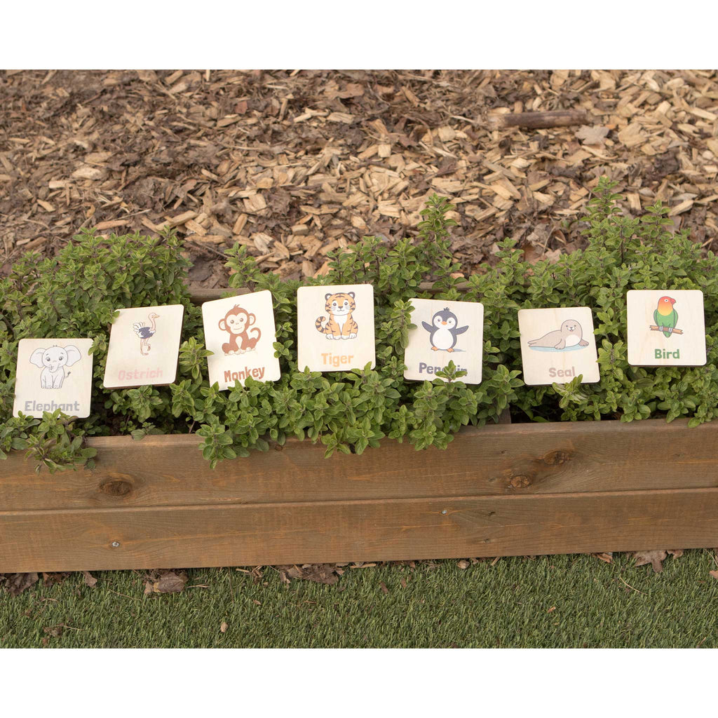 Flash Cards - Zoo Animals  - The Ministry of Outdoor Education