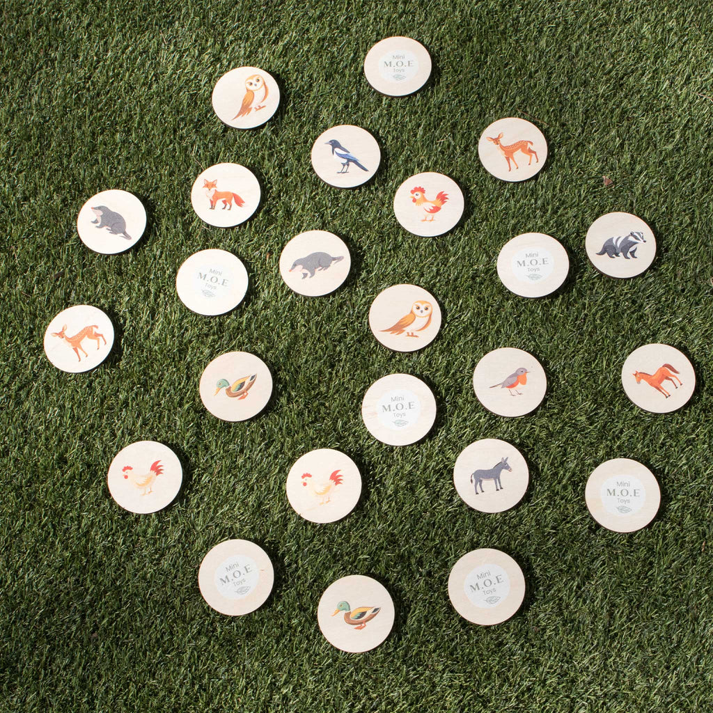 Pick Pairs Game - UK Animals  - The Ministry of Outdoor Education