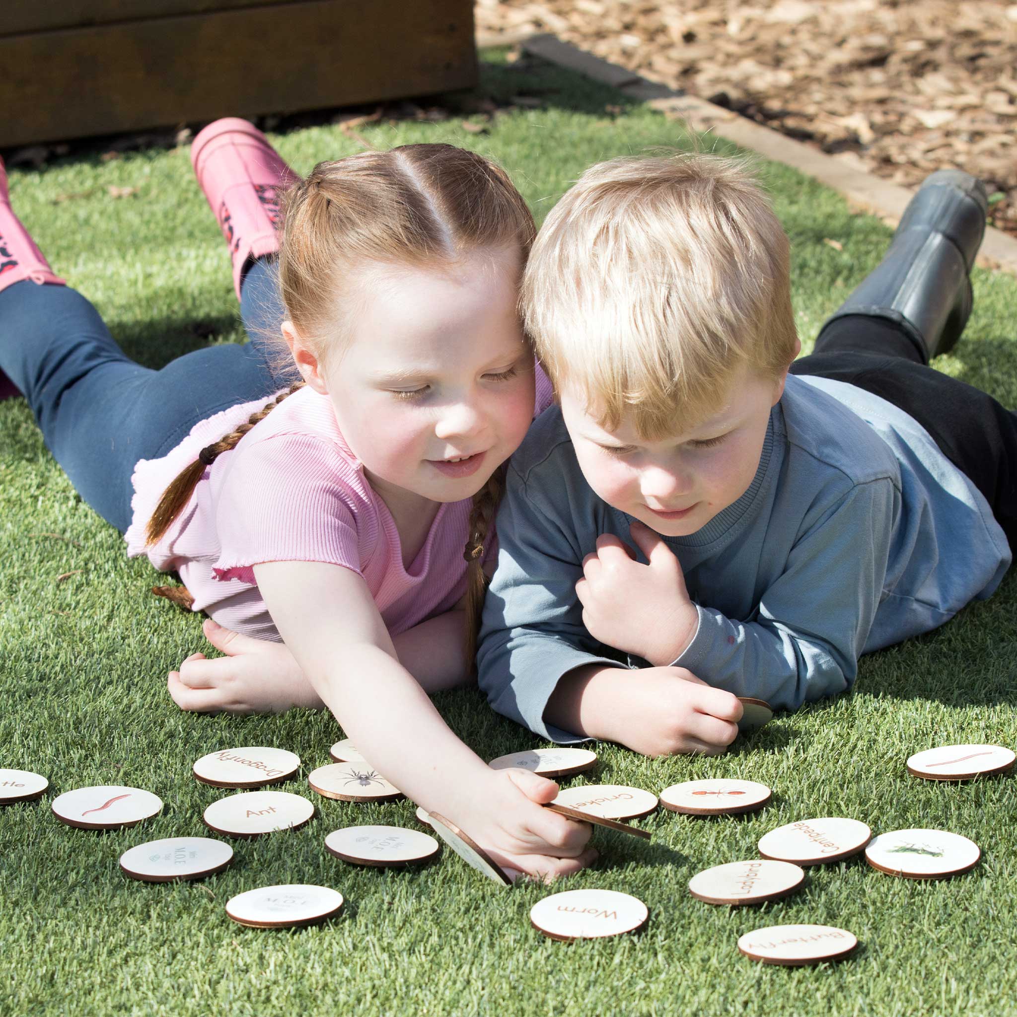 Pick Pairs Game - UK Animals  - The Ministry of Outdoor Education