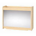 Mobile Storage Unit (Mirror Back)
