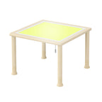 Discovery Table with LED Lights