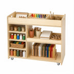 Mobile Art Storage Unit