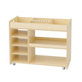 Mobile Art Storage Unit