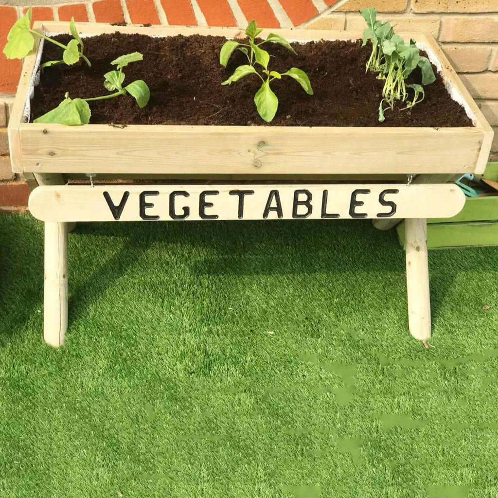 Vegetable Planter