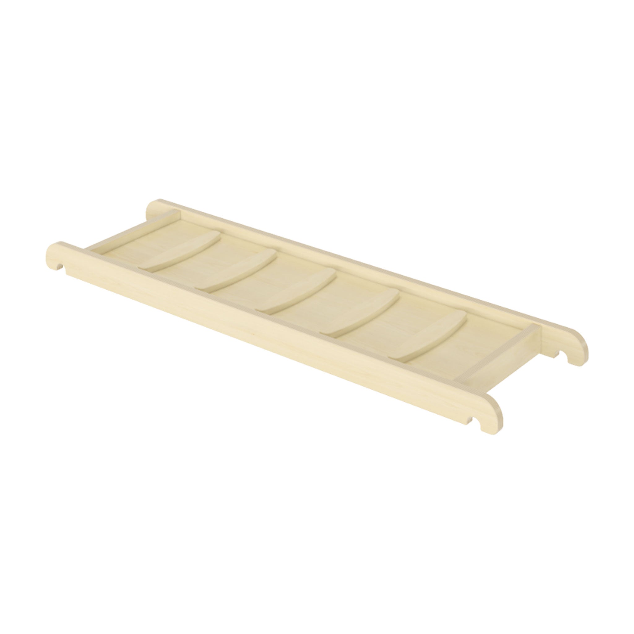Play Gym Straight Ladder