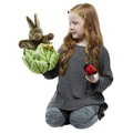 Hide - Aways: Set of 3 (Rabbit in Lettuce, Treehouse, Dinosaur House) - The Ministry of Outdoor Education